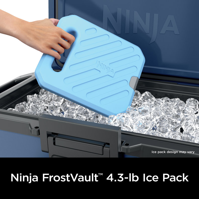 Ninja Frost Vault 4.8lb. Ice Pack | Wayfair